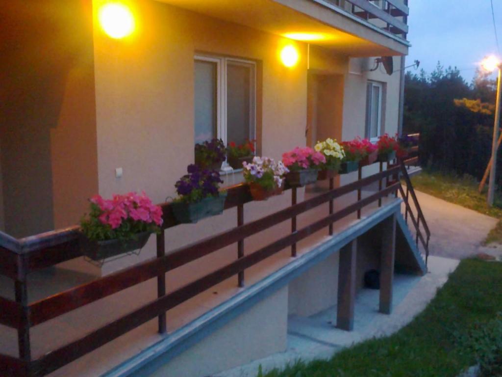 Apartments Varga Divčibare Eksteriør billede